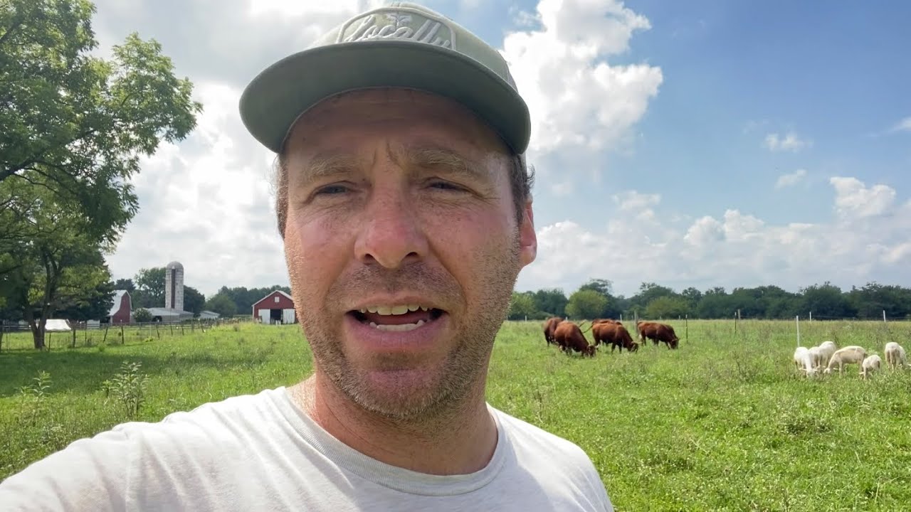 Mob Grazing &ldquo;Debunked&rdquo;
