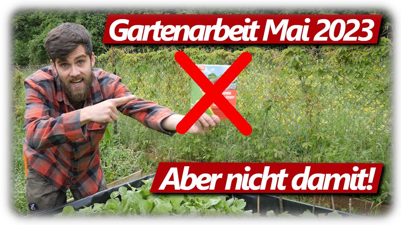 Gartenarbeit Mai | Nacktschnecken bek&auml;mpfen, B&auml;rlauchsalz, Feigenschnitt, Kiwibeeren und Max treffen