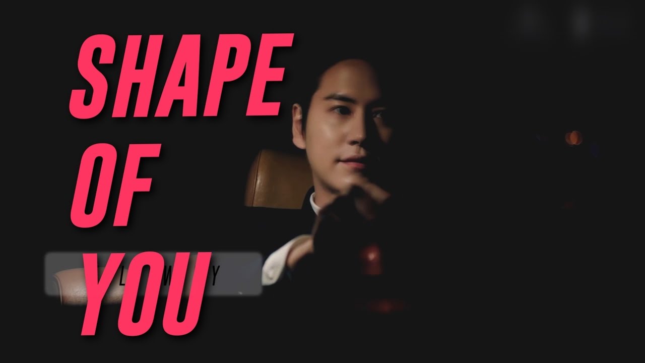 ╰ SHAPE OF YOU ╯  SUPER JUNIOR