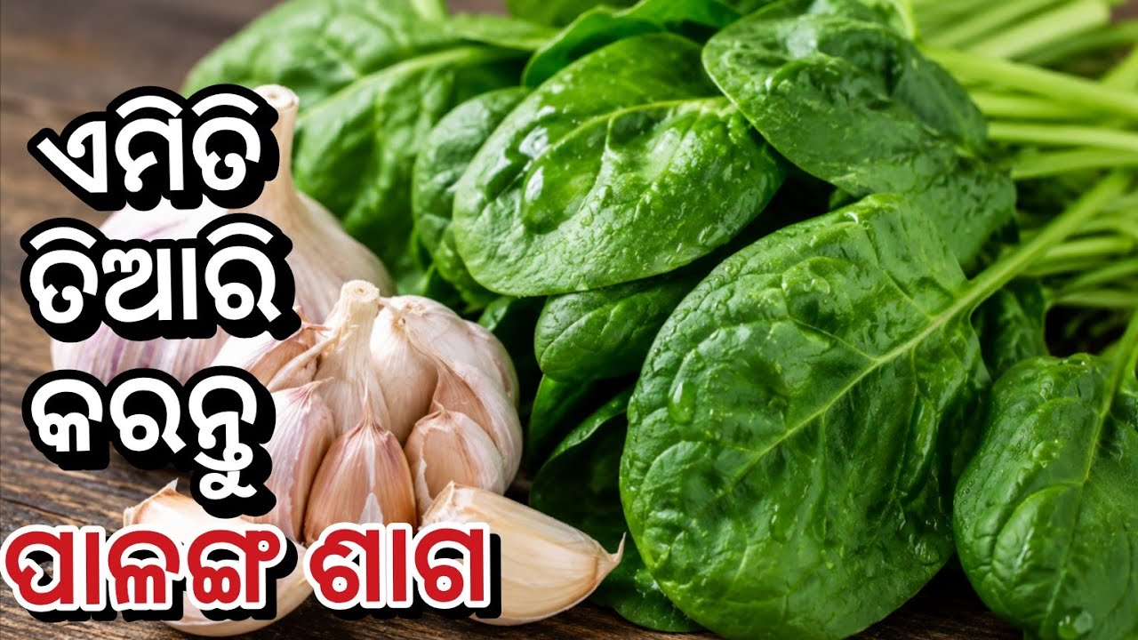 ରସୁଣ ପଲଙ୍ଗ ଶାଗ ଭଜା | Rasuna Palanga Saga Bhaja | Lahsun Palak Saga | Simple Garlic Spinach Fry |