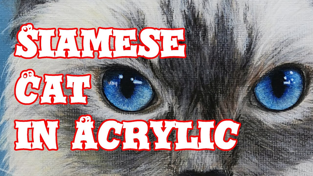 How To Paint a Siamese Cat in Acrylic ★ How To Paint #05