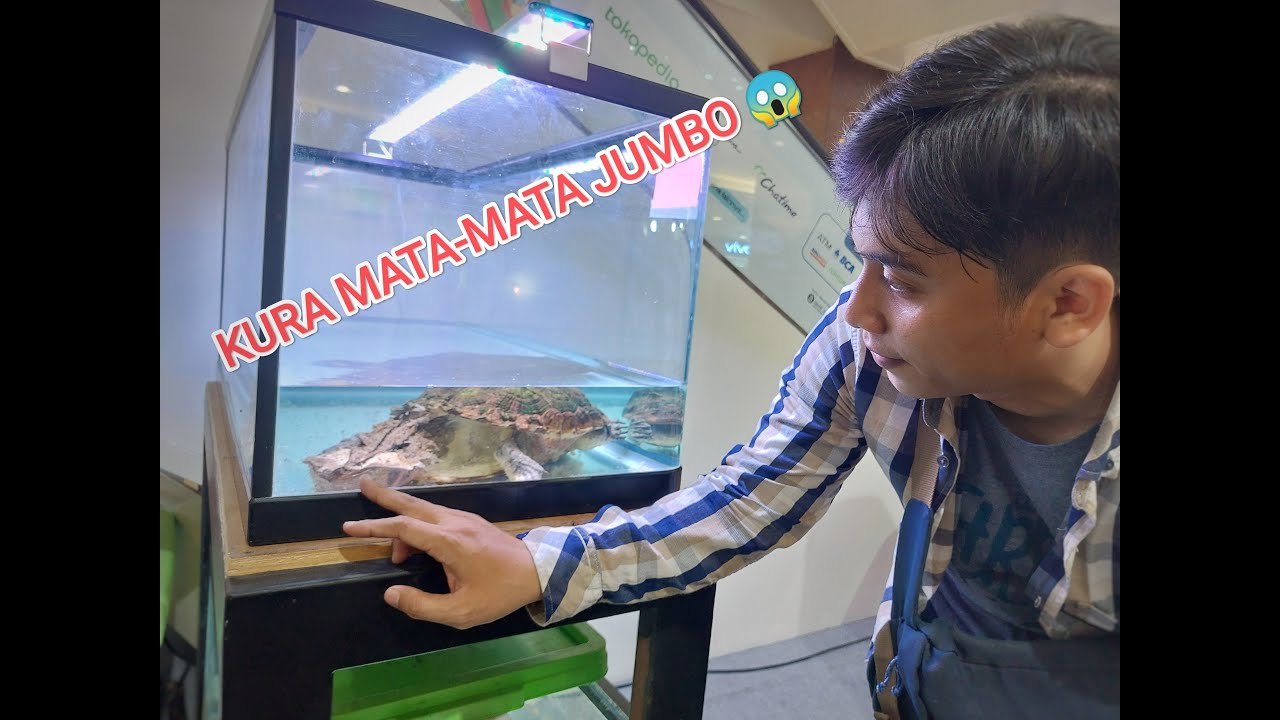 ADA KURA MATA-MATA JUMBO!!! FRIENDSHIP BROTHERHOOD 2023 SURABAYA