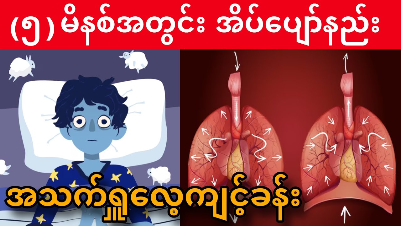 (၅)မိနစ်အတွင်းအိပ်ပျော်စေမယ့် [ 4-7-8 ] အသက်ရှူလေ့ကျင့်ခန်း