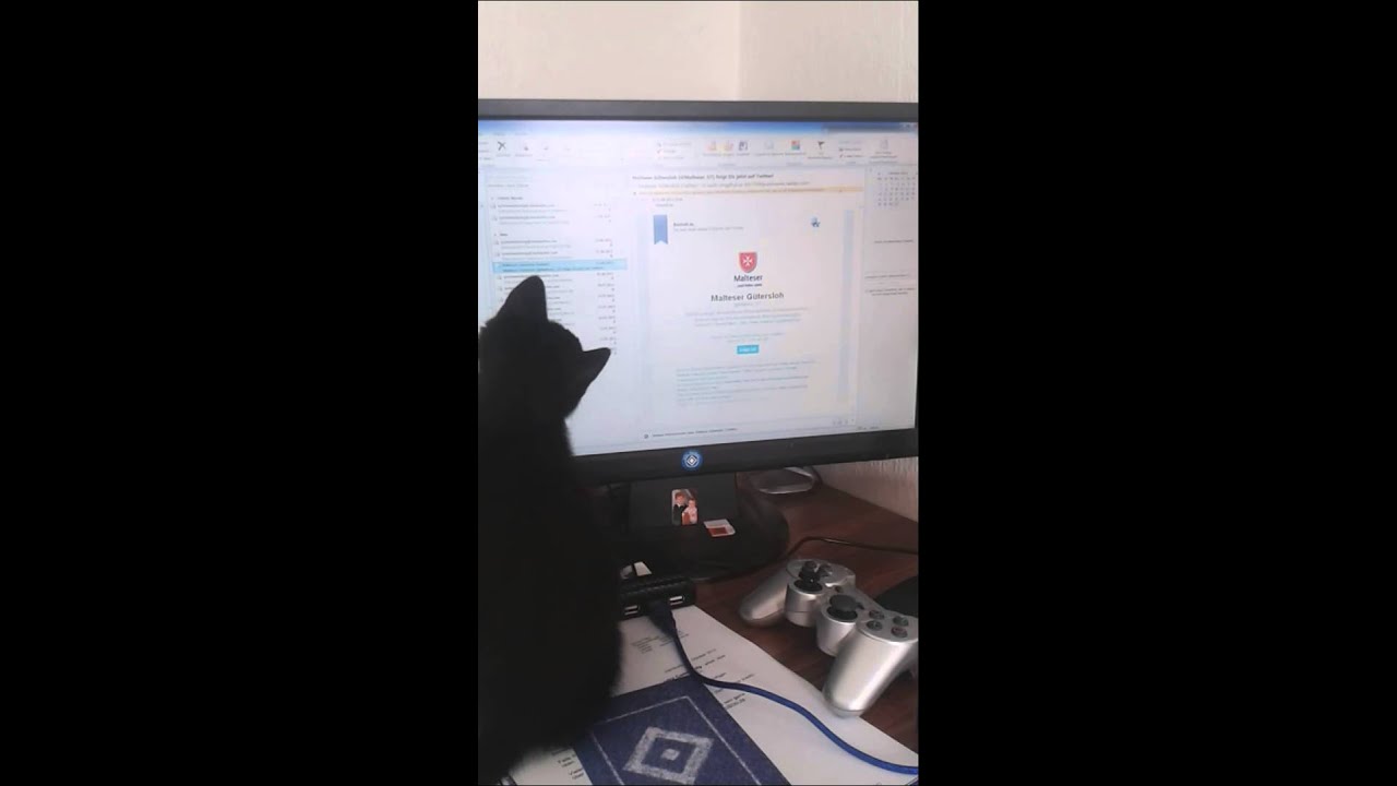 20131031_134633.mp4