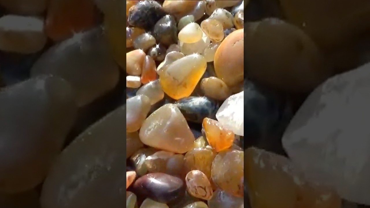 A Tumbler Load Of Fine Polished Oregon Beach Agates  #short  By : Quest For Details
