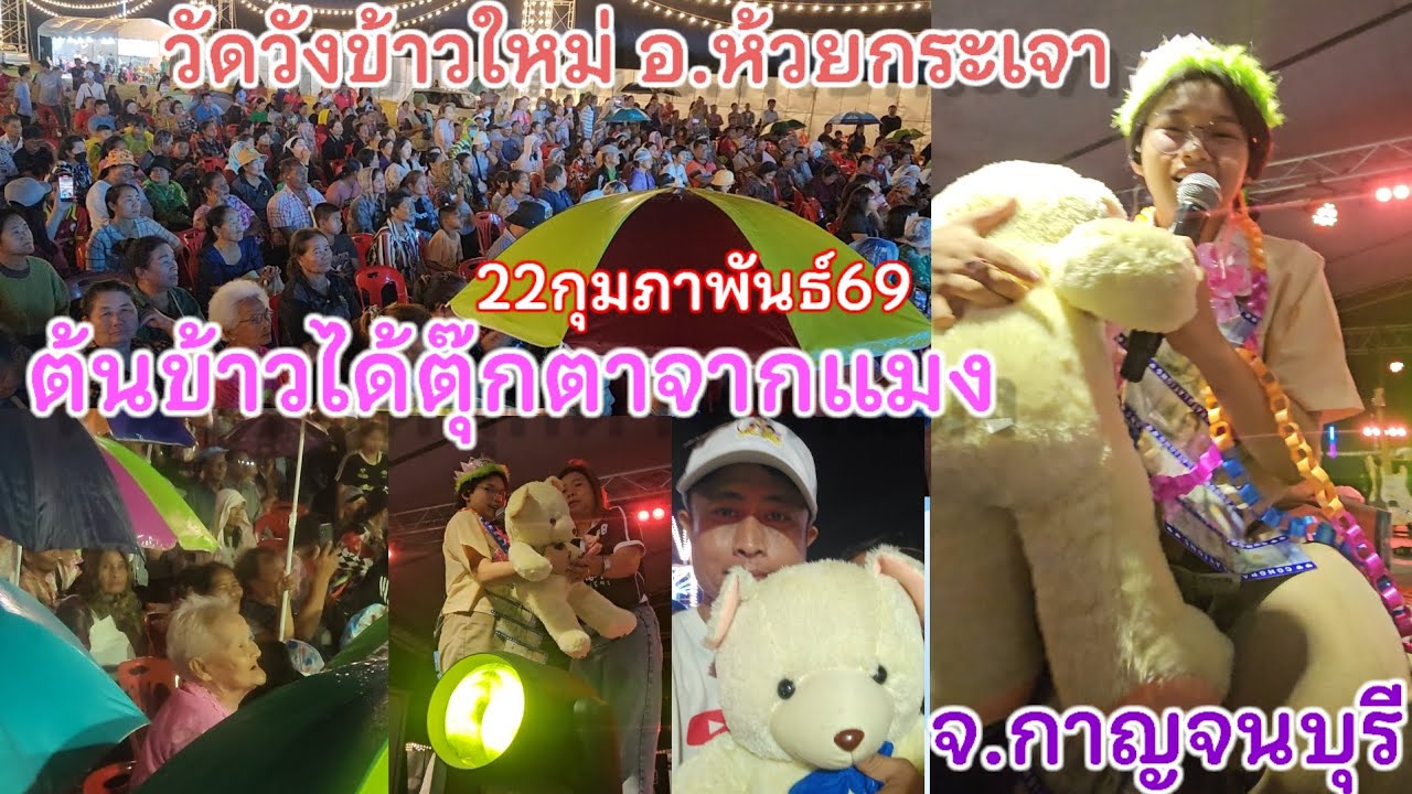 22ก.พ.69 ต้นข้าวร้องเพลง 19.30น. วัดวังข้าวใหม่ ต.ดอนแสลบ อ.ห้วยกระเจา จ.กาญจนบุรี ท่ามกลางสายฝน