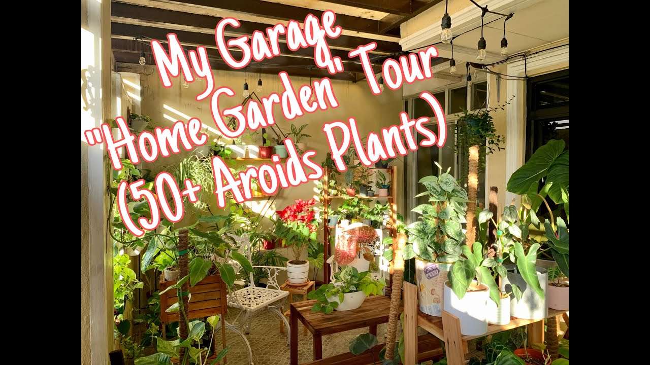 My Garage “Home Garden” Tour (50+ Aroids Plants)