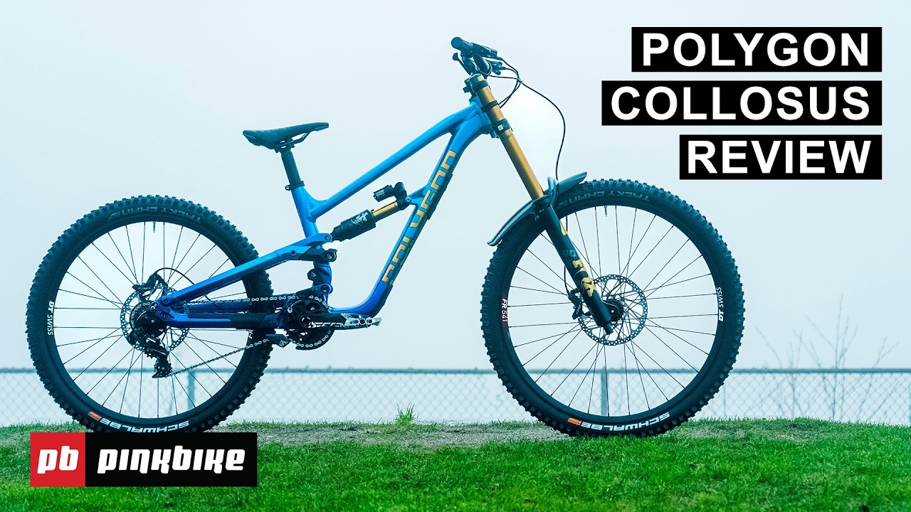 Rivalling The Best World Cup Winning Race Rigs | Polygon Collosus