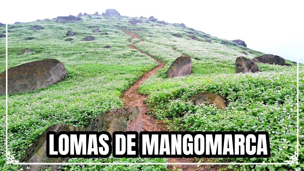 LOMAS DE MANGOMARCA : ¿Cómo llegar? / TREKKING EN SAN JUAN DE LURIGANCHO / LIMA