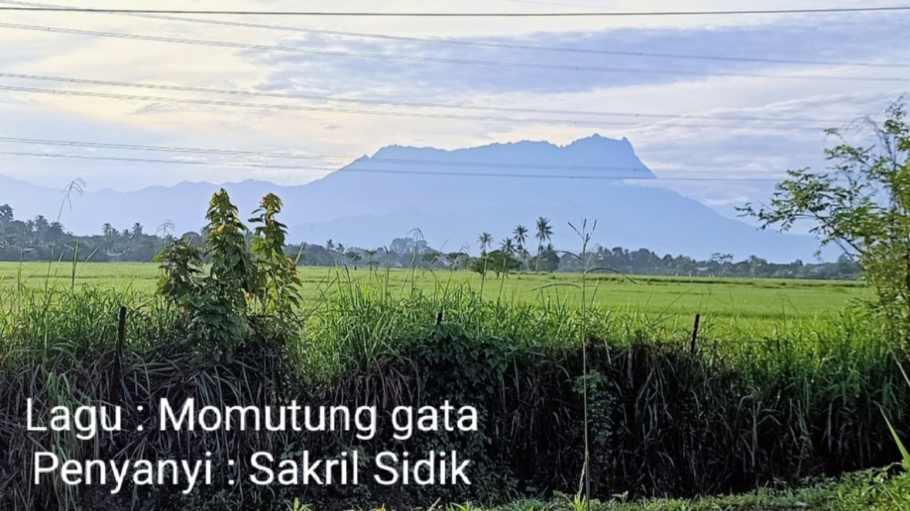 Lagu dusun | Momutung gata : Sakril sidik