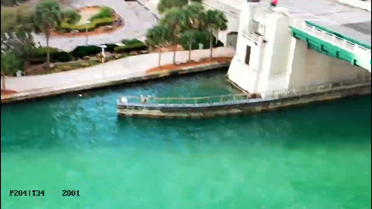 Miami River Camera - Feb 16, 2026 8:00 AM to 9:00 AM