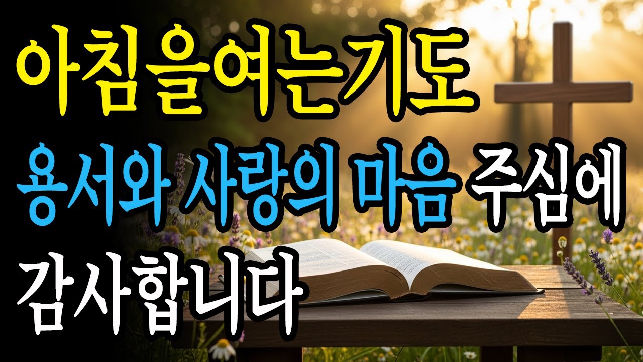 매일 아침, 용서와 사랑을 회복하는 화해의 기도문! 당신의 모든 만남을 주님이 인도하십니다 | 아침을여는기도 | 아침기도 | ASMR 기도 | 매일기도