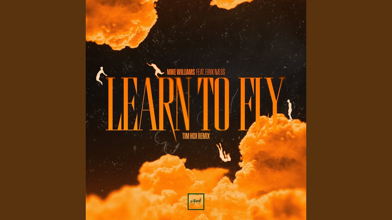Learn To Fly (Tim Hox Remix)