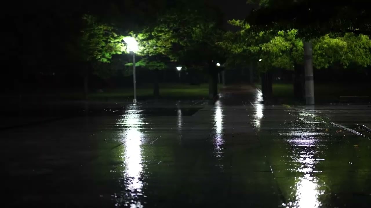 POV: You’re Alone in a Rainy City at 2 AM - Cinematic Ambience
