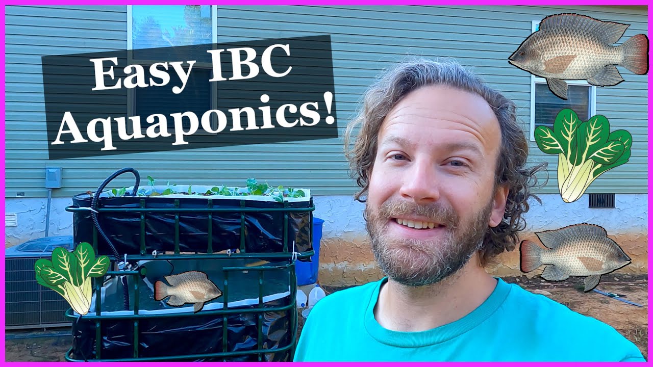 Aquaponics IBC Chop & Flip Build - Easy for Beginners