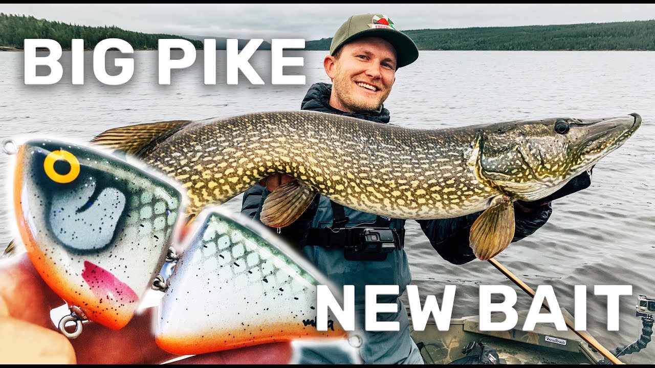 We are catching BIG pike on a NEW bait!