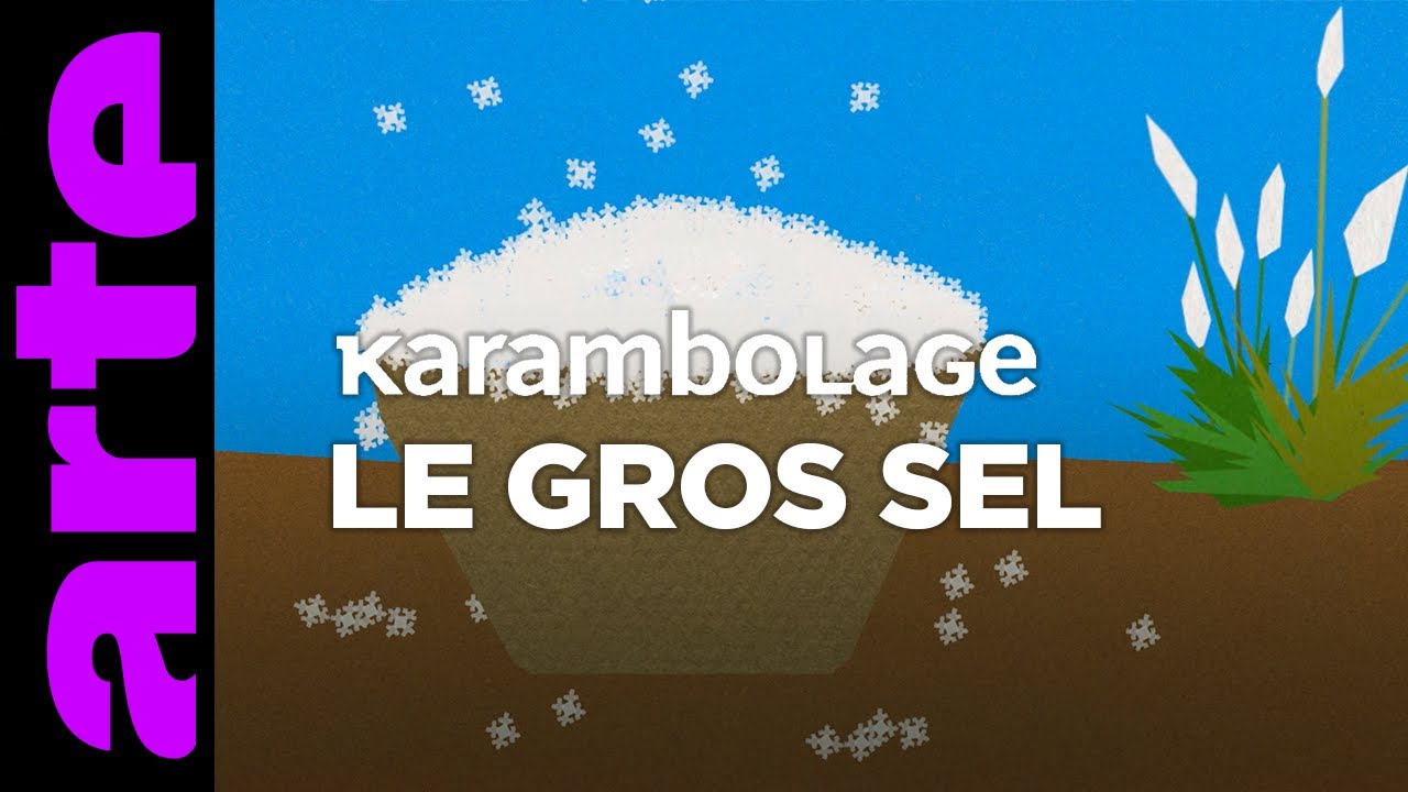 Le gros sel - Karambolage - ARTE