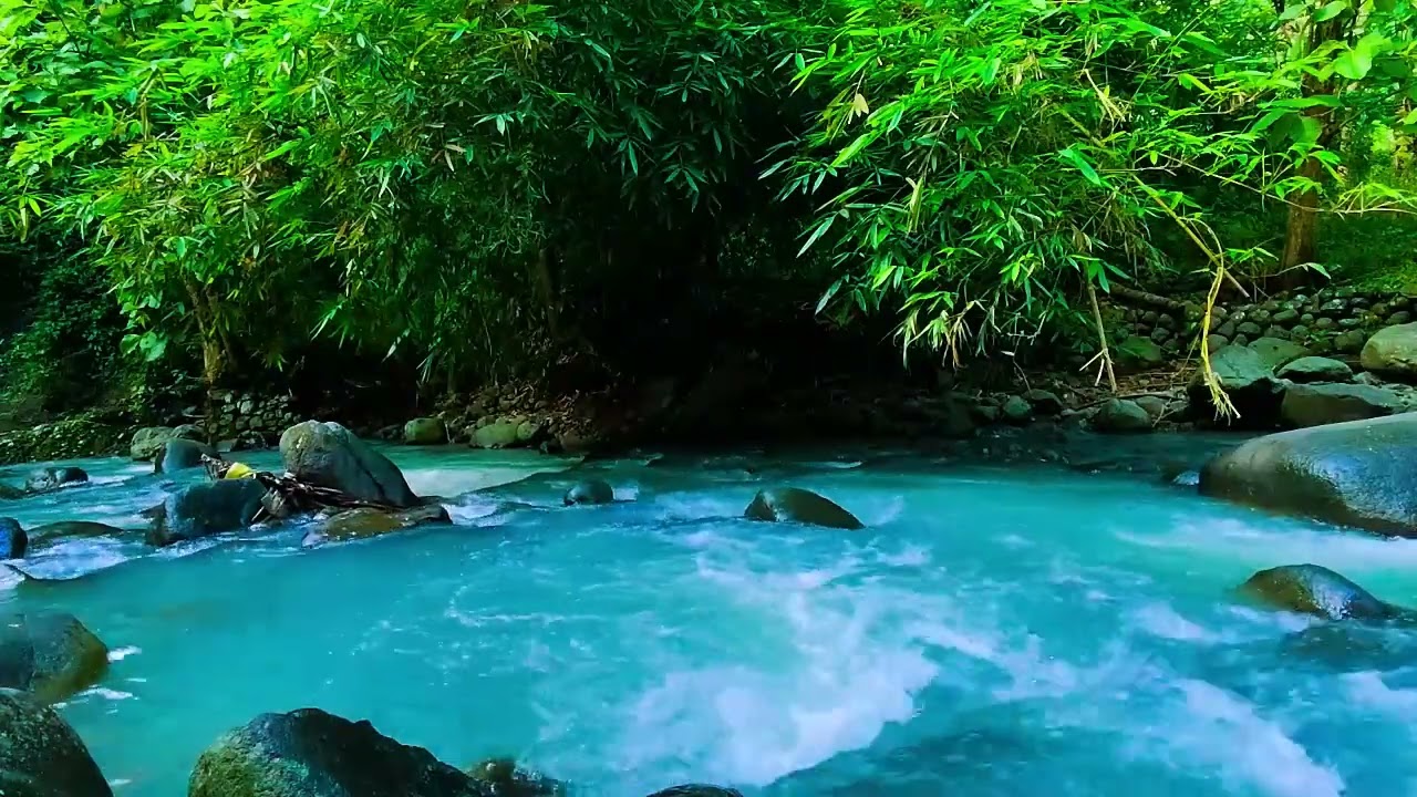 Nature's Calm - Sleep Like a Baby – This Forest Stream Sound Is a Total Game Changer - Deep Sleep