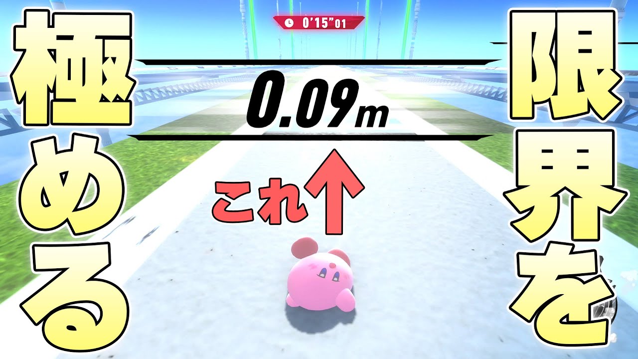 遠くまで飛ぶ距離を競う『エアグライダー』で逆に0.01mを記録することはできるのか【カービィのエアライダー実況】