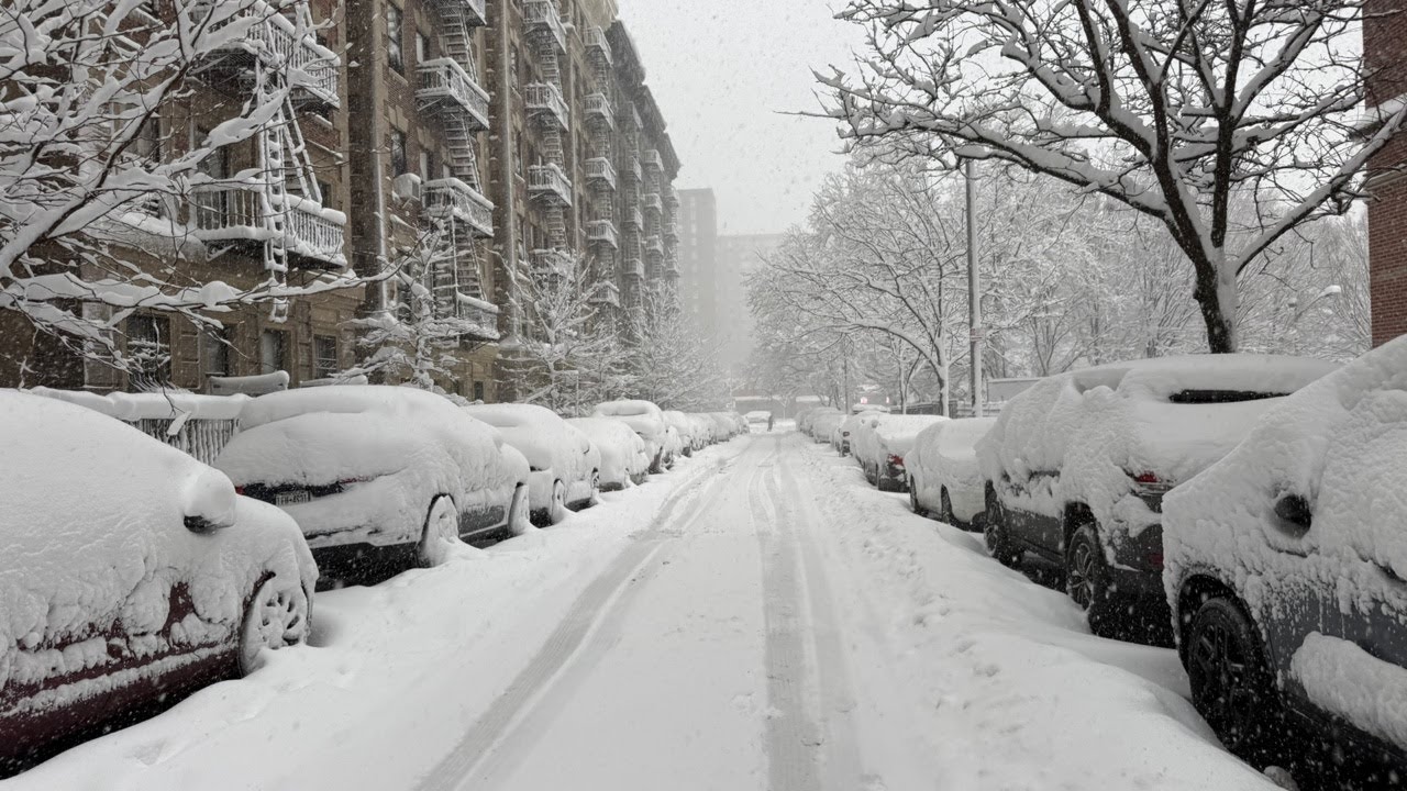 LIVE in the big blizzard in NYC