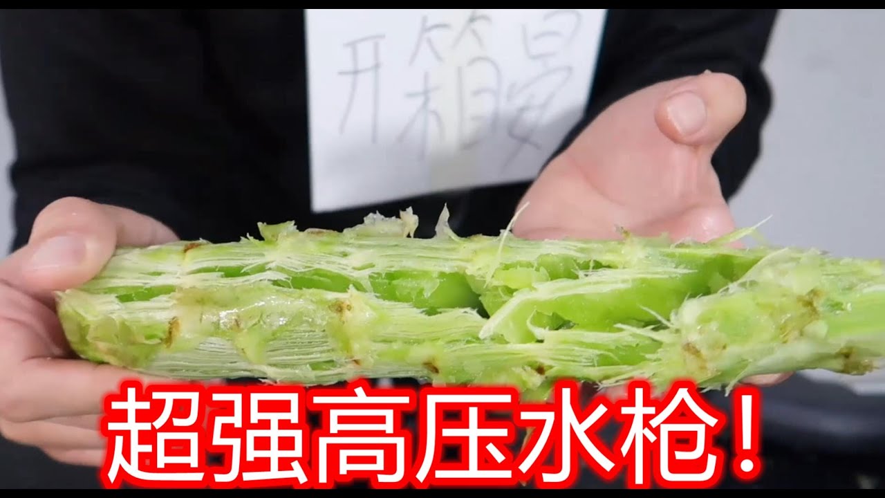 花了1000块买的超强高压水枪！直接把蔬菜洗的粉粹