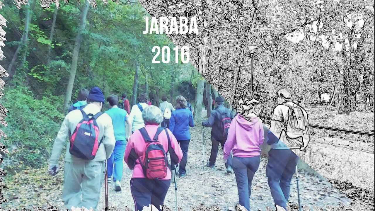 Jaraba 2016