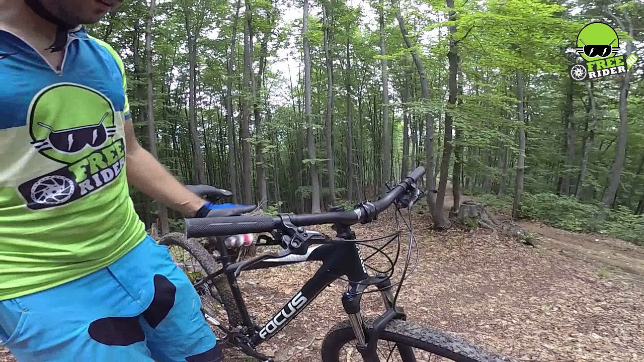 Focus Whistler Lite 2018