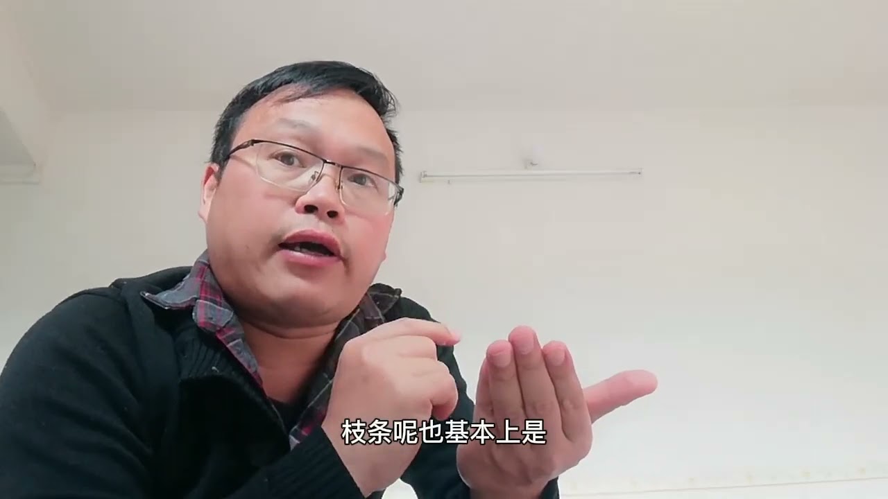 “白砂糖”是很好的生根粉，只是很多人配方不对