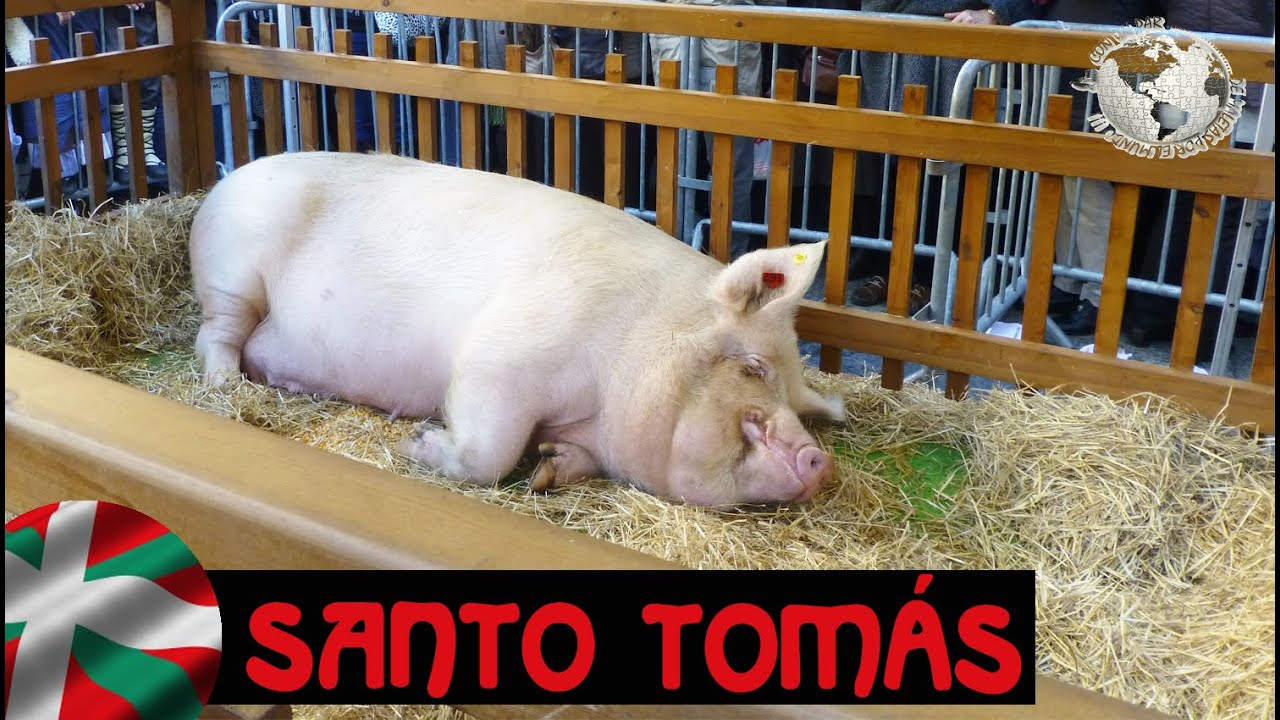 Día de Santo Tomás Eguna, San Sebastián. Donostia 2014