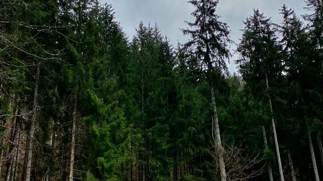 Wanderung in Nusplingen