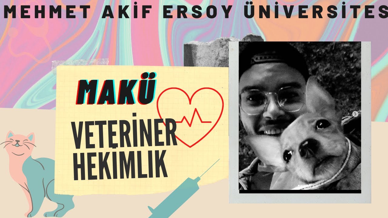 Veteriner Fakültesi | MAKÜ | Burdur | İş Fırsatları/Maaşlar