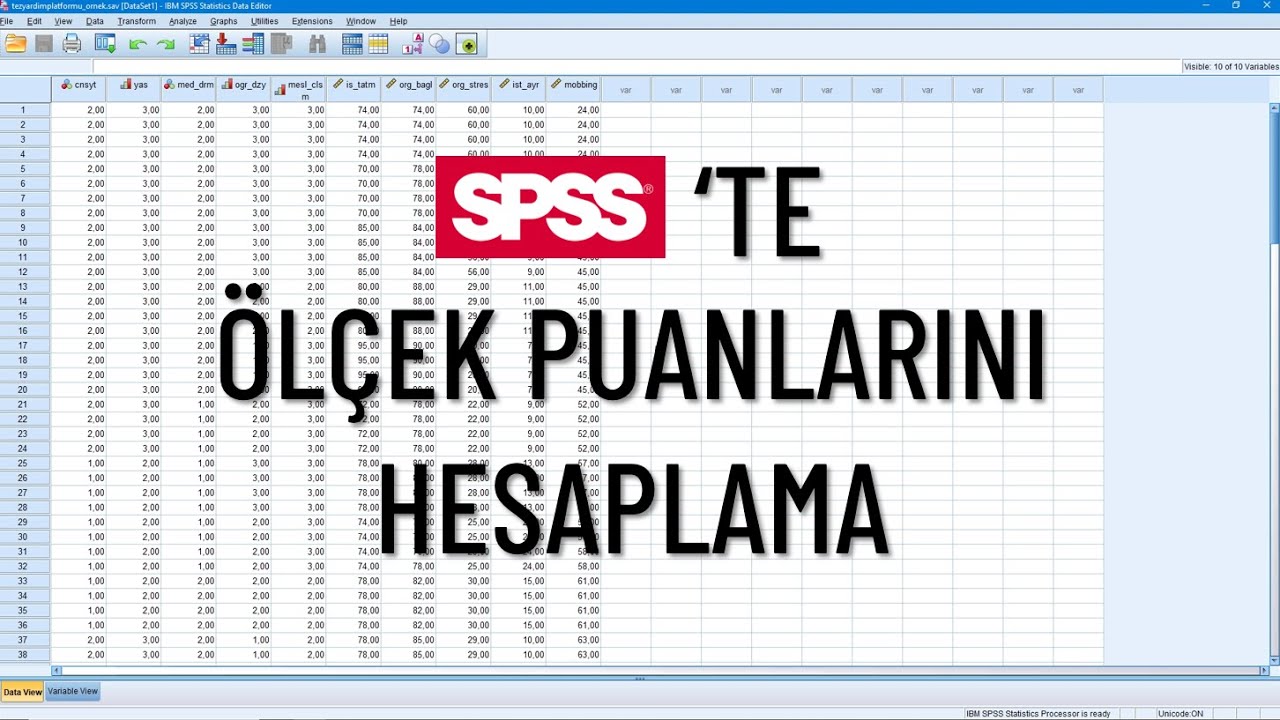 SPSS'te Ölçek Puanları Nasıl Hesaplanır? Değişken Olarak Kolayca Nasıl Kaydedilir?