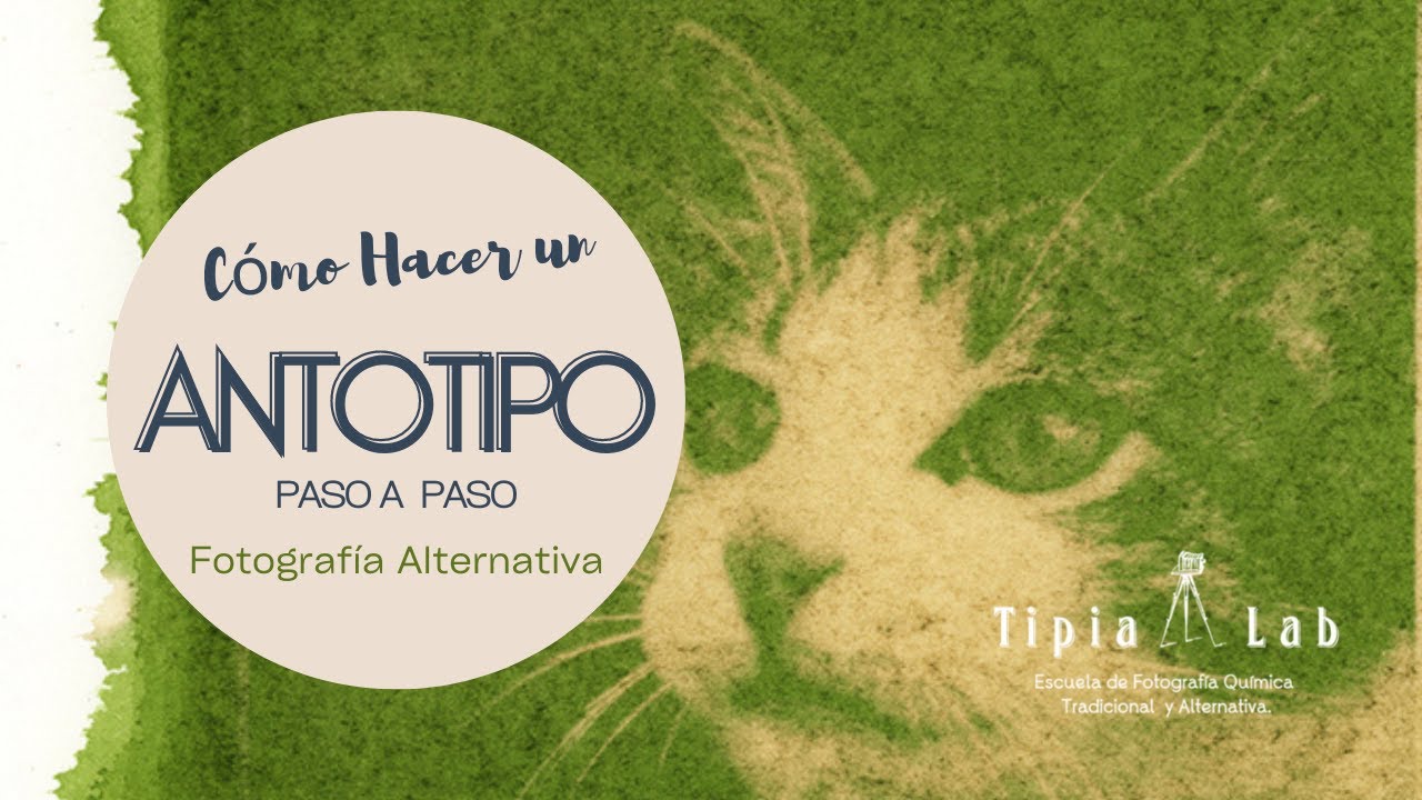 Cómo Hacer Fácilmente ANTOTIPIA con fotografías Paso a Paso  (Fotografía Alternativa)🌱🌿☘️