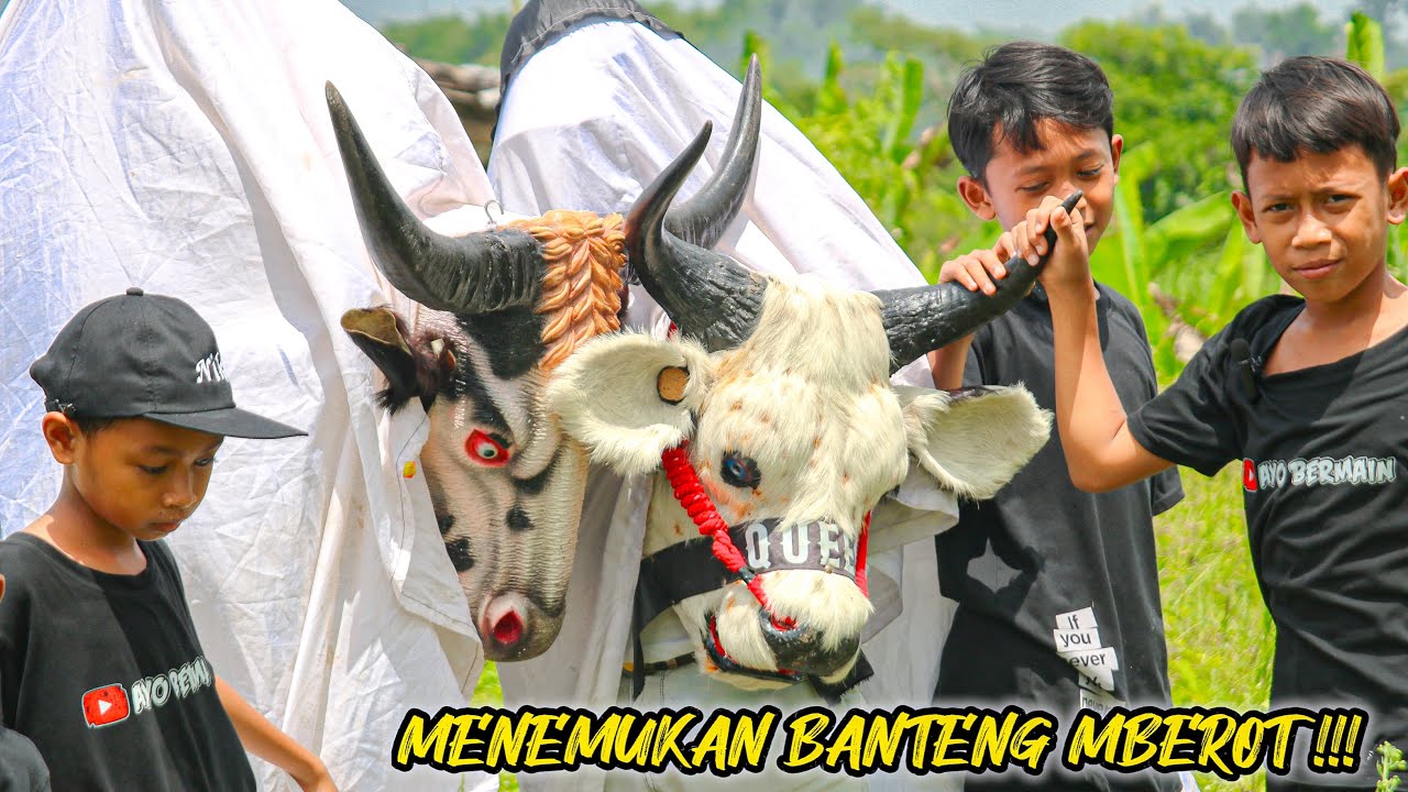 MENEMUKAN BANTENG MBEROT ‼️😲#bantengan #mberot #barongan 