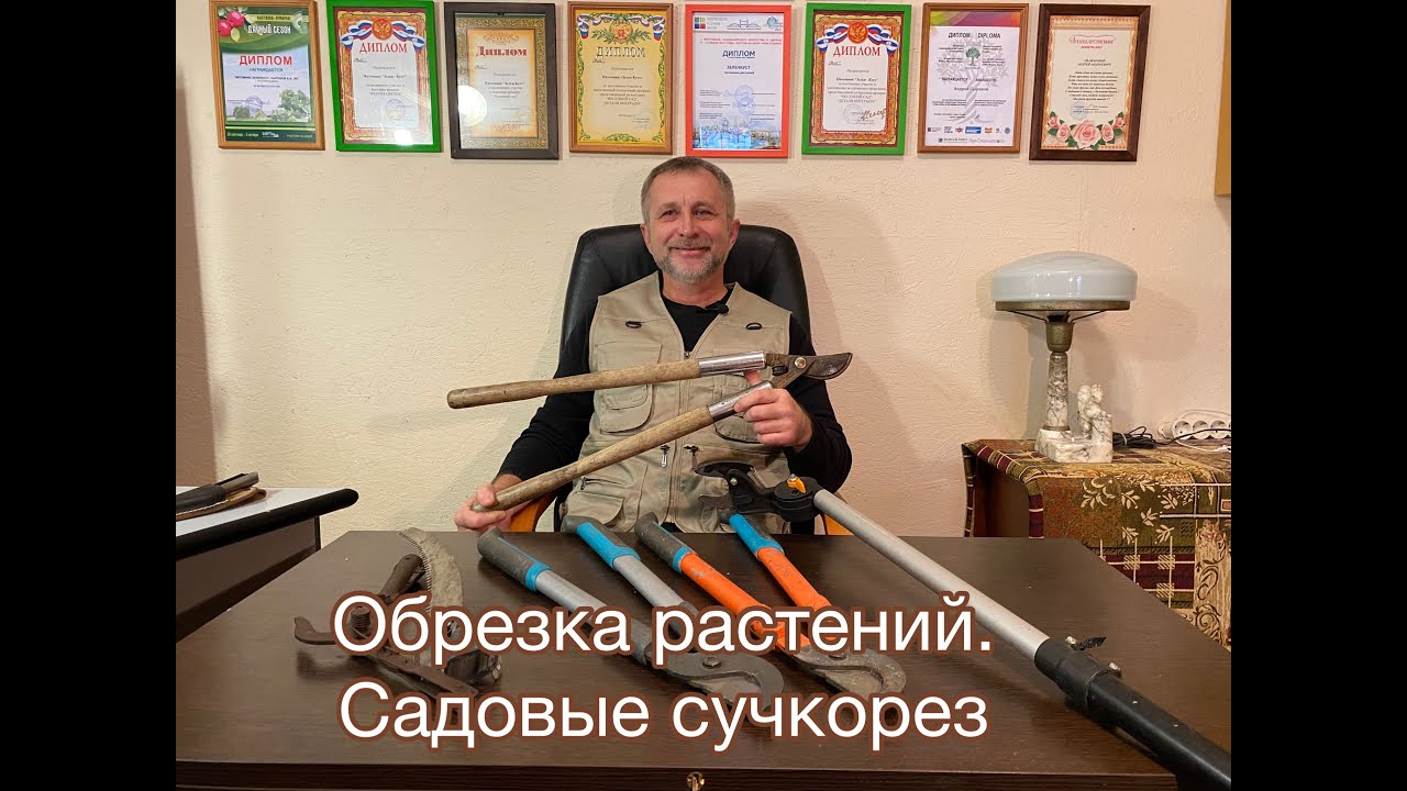 Сучкорезы