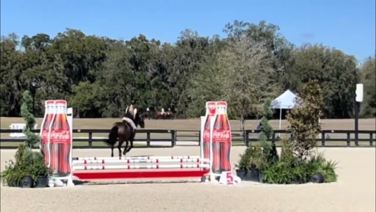 Blarney boy absolutely CRUSHED it today at WEC