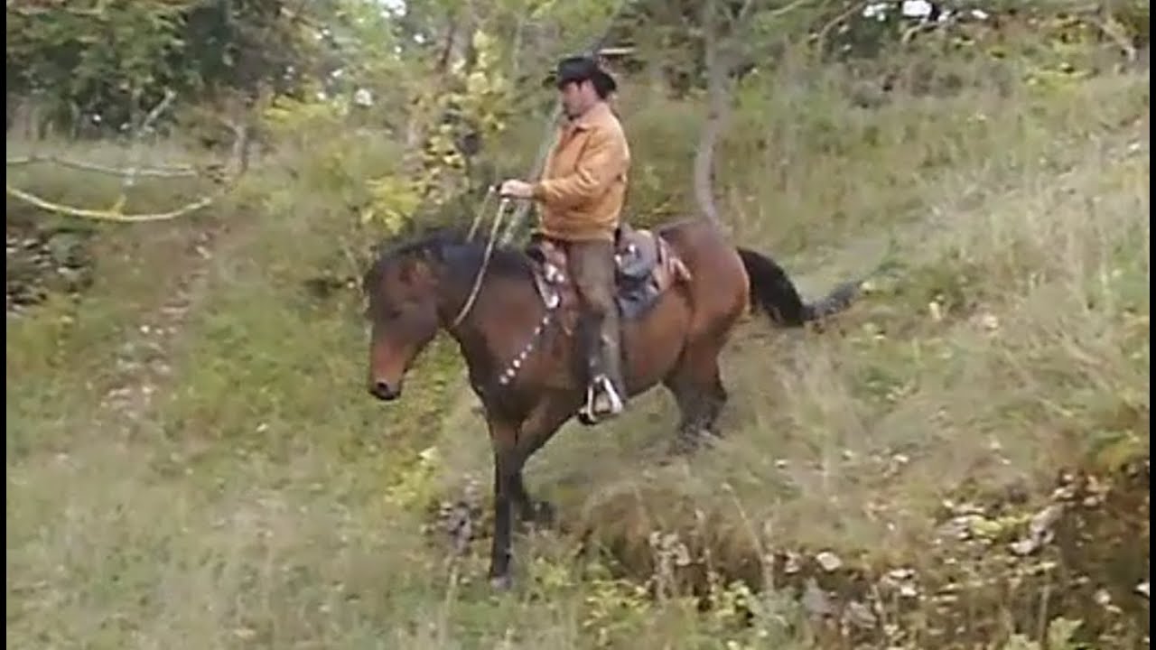 Extrem Horse Trail auf der Schwäbischen Alb Part 2