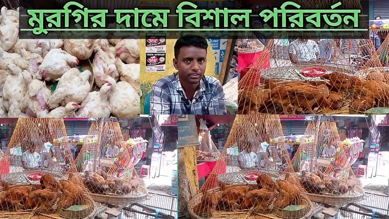 গাজীপুর বাজারে মুরগির দামে বিশাল পরিবর্তন | আজকের বাজার লাইভ আপডেট