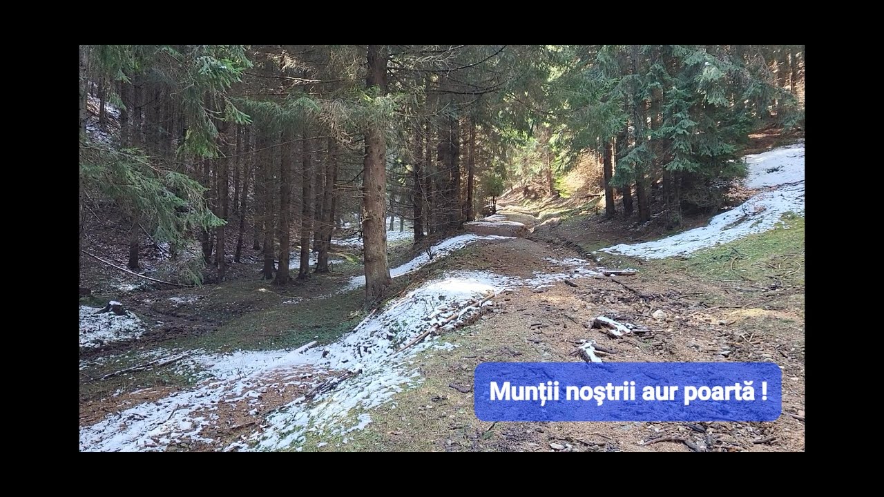 28 de monede in munti !