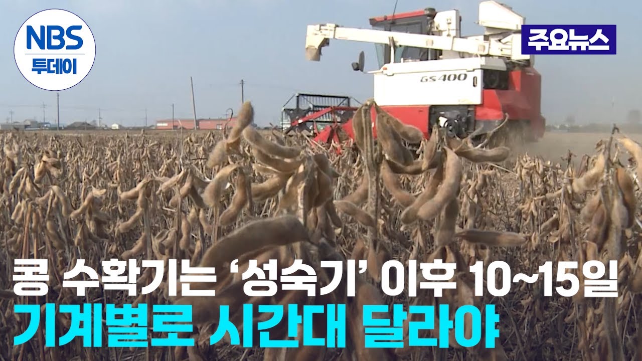 콩 수확기는 ‘성숙기’ 이후 10~15일…“기계별로 시간대 달라야”