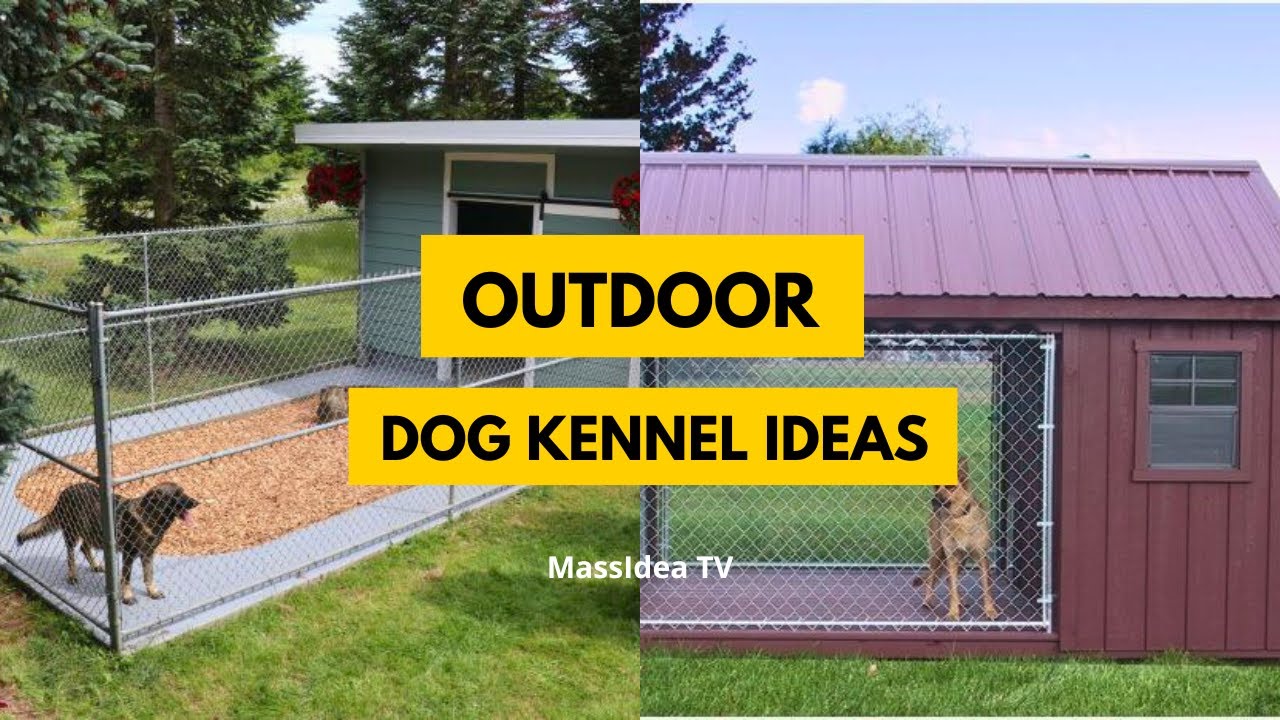 30+ Awesome Outdoor Dog Kennel Ideas to Keep Your Pup Safe & Stylish