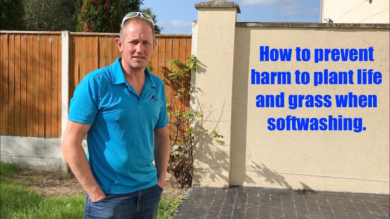 How to prevent harm to plant life when softwashing