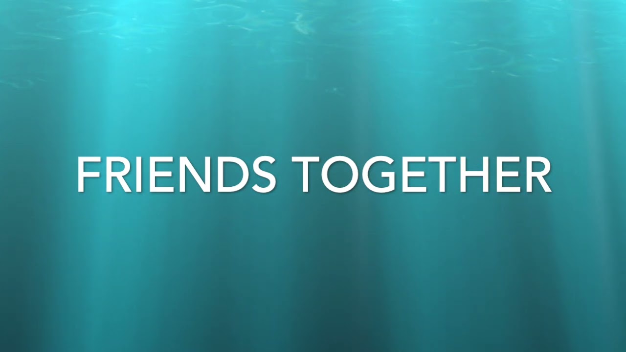 02 Friends Together - GPS - TWINW