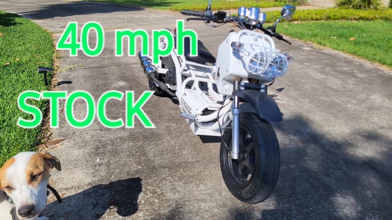 Снимите ограничения на вашем скутере Maddog 50cc GY6 БЕСПЛАТНО