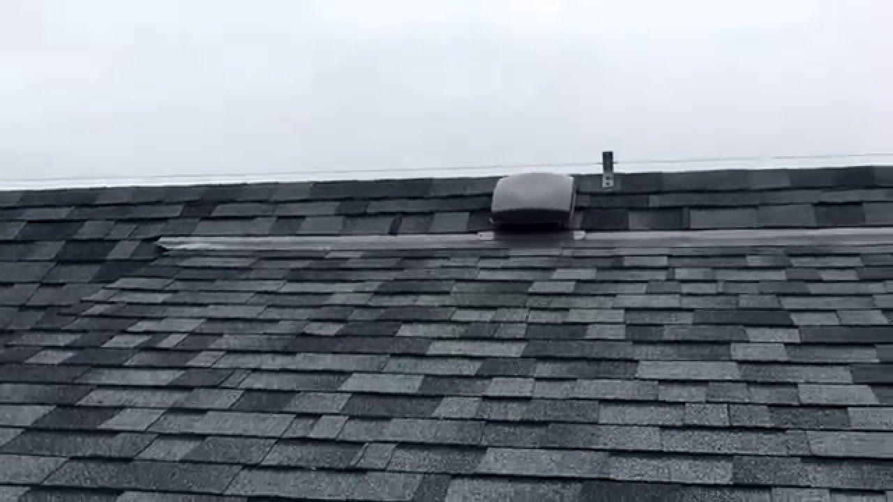 Bird Deterrent Wire on a Budget | Flue Guru
