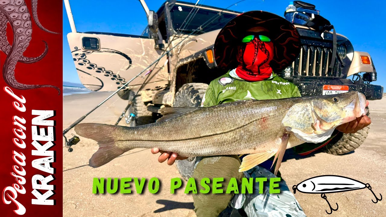 ROBALO CON EL NUEVO PASEANTE DE KRAKEN LURES