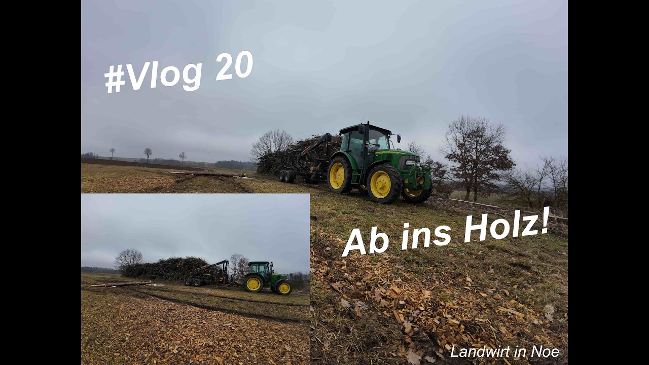 #Vlog 20 I POV Es geht in den Wald I Aktuelle Lage bei uns