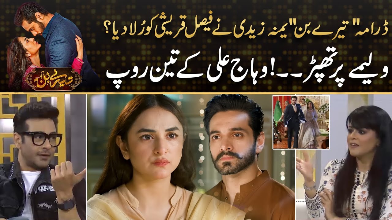 Tere Bin - Faysal Qureshi Cried Over Yumna Zaidi? Slap During Walima! Wahaj Ali's Three Character
