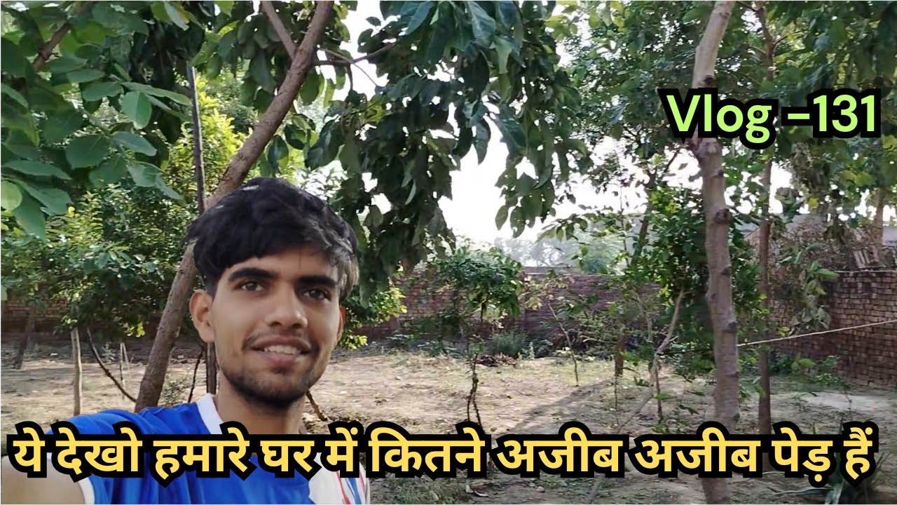 ये देखो हमारे घर में कितने अजीब अजीब पेड़ हैं  / Vlog -  131 / Colpia Vlogger