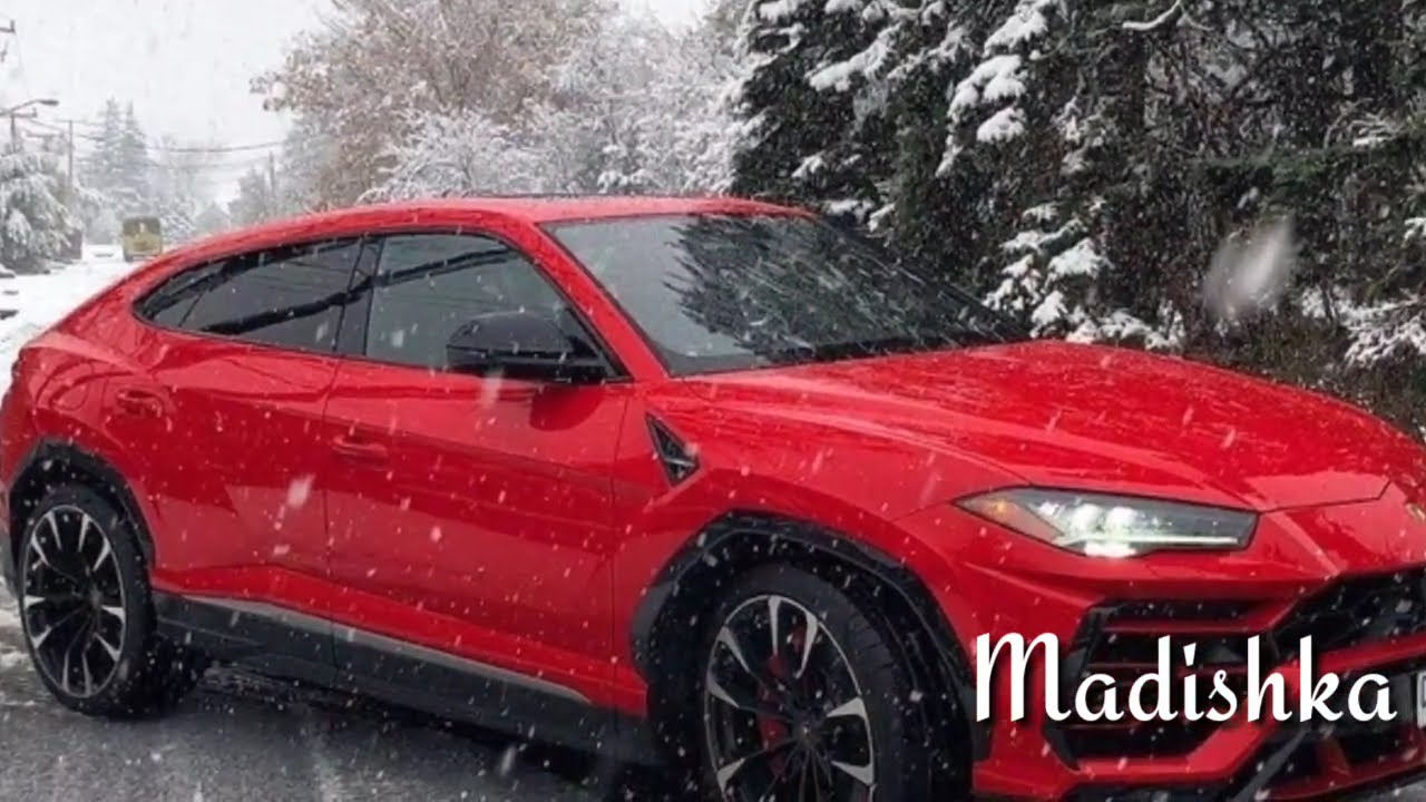 Дог Доьг1на со Цхалха Ма Висси 🤩💣 Рустам Абреков 2019 💣❤💥